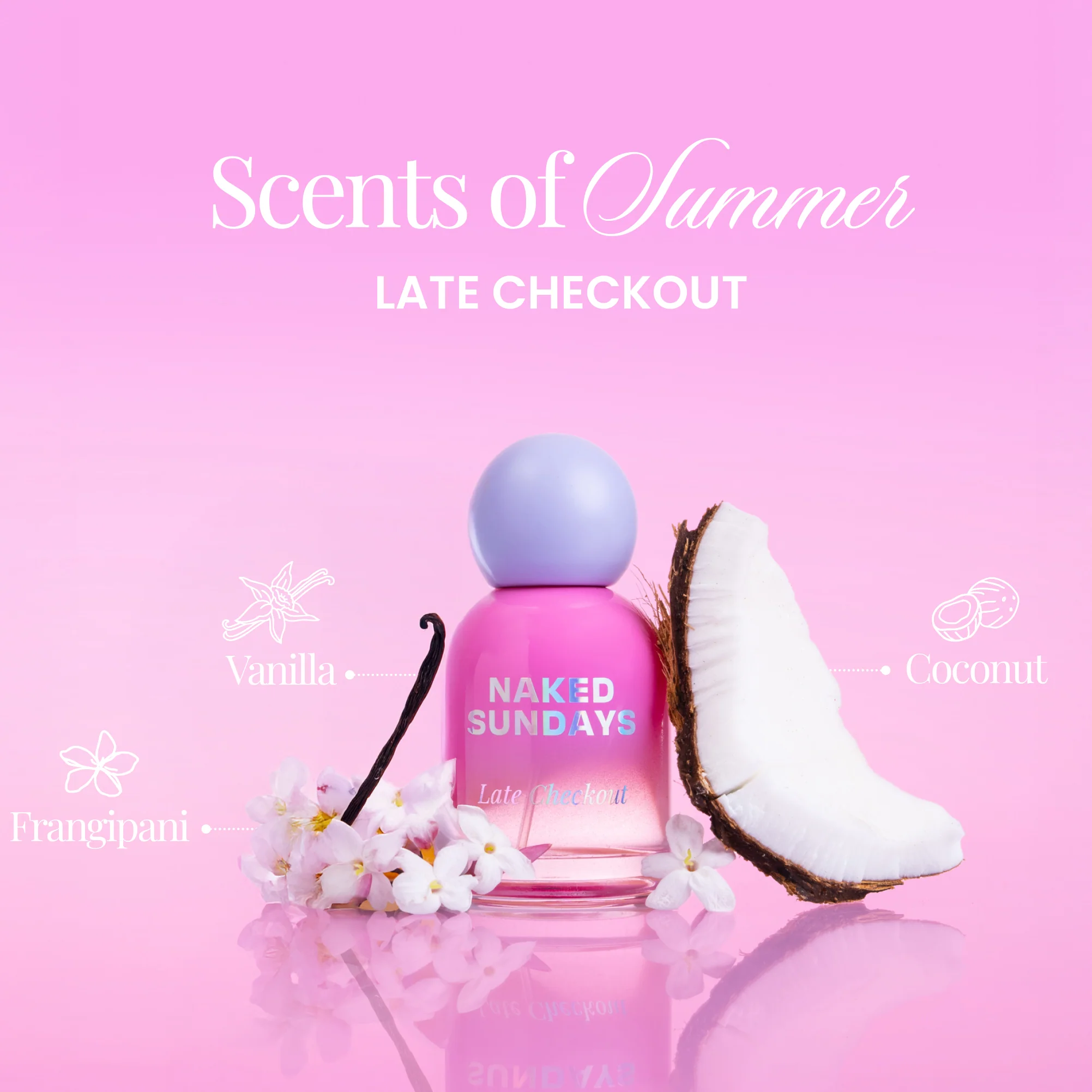Vacay Fragrance Bundle (All 3 for the price of 2!) - Image 4
