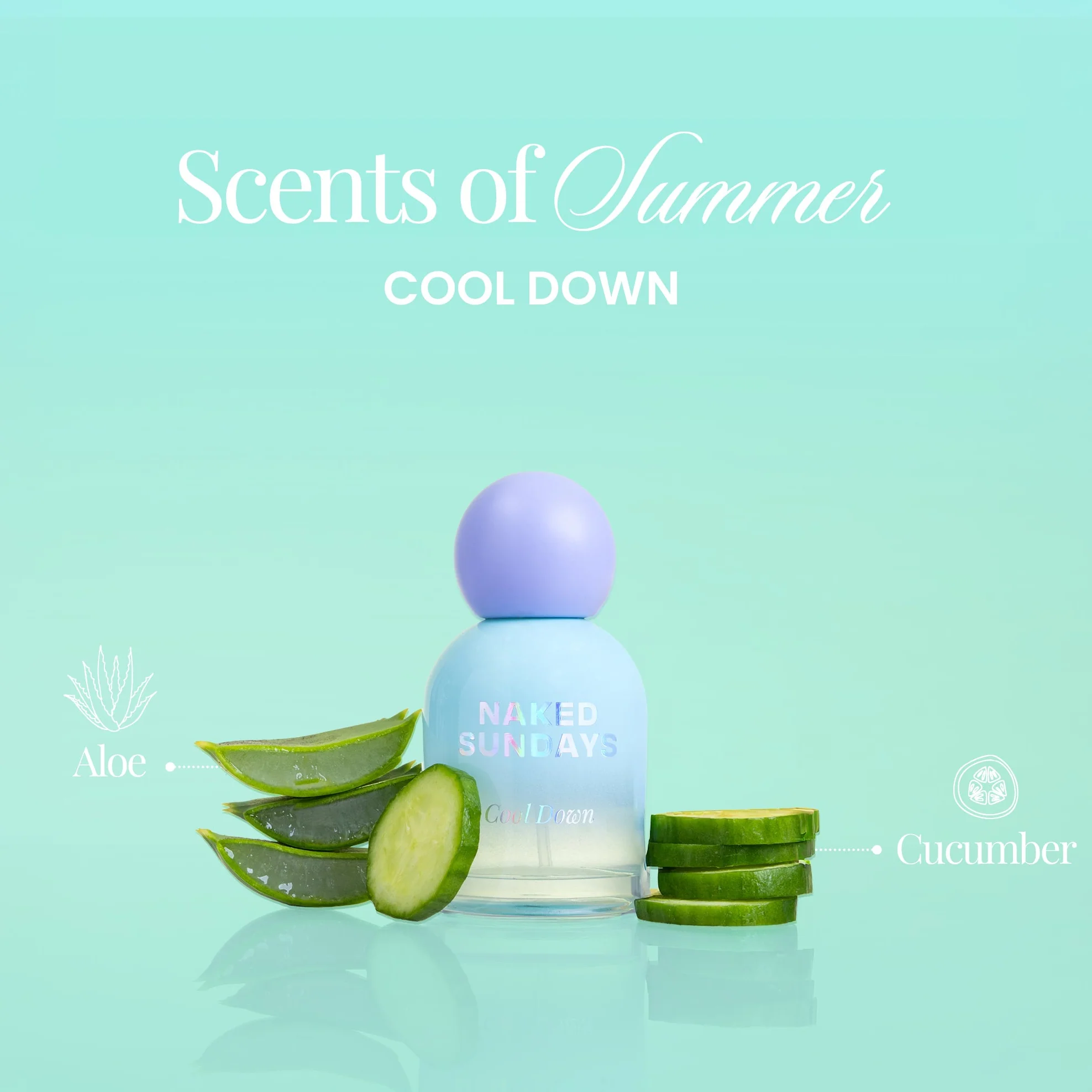 Vacay Fragrance Bundle (All 3 for the price of 2!) - Image 6